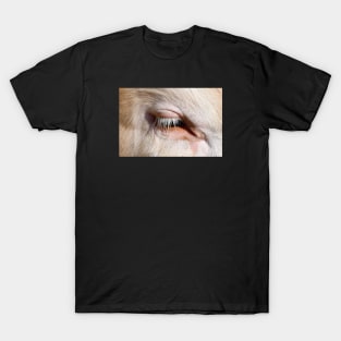 Cow eye / Swiss Artwork Photography T-Shirt